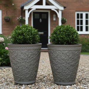 May include: Two grey, decorative plant pots with a rope-style trim and embossed floral patterns. Each pot contains a trimmed, green shrub. The pots are set on a gravel surface in front of a brick house.