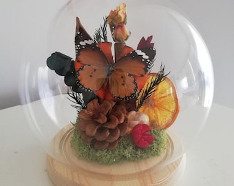 Preserved butterfly specimen,Glass dome with wood base,Dried plants,Dry flower,Insect art,Birthday gift,Home decor,Holiday gift,For her/him