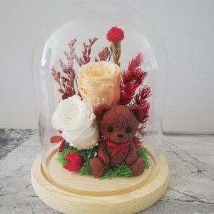 Preserved rose teddy bear top