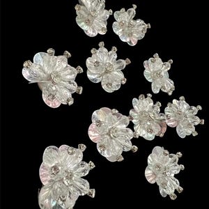 Könnte beinhalten: Eine Sammlung klarer, blütenförmiger Verzierungen mit schillernden Blütenblättern und silberfarbenen Strasssteinzentren und -akzenten. Die floralen Designs sind vor einem schwarzen Hintergrund verstreut.