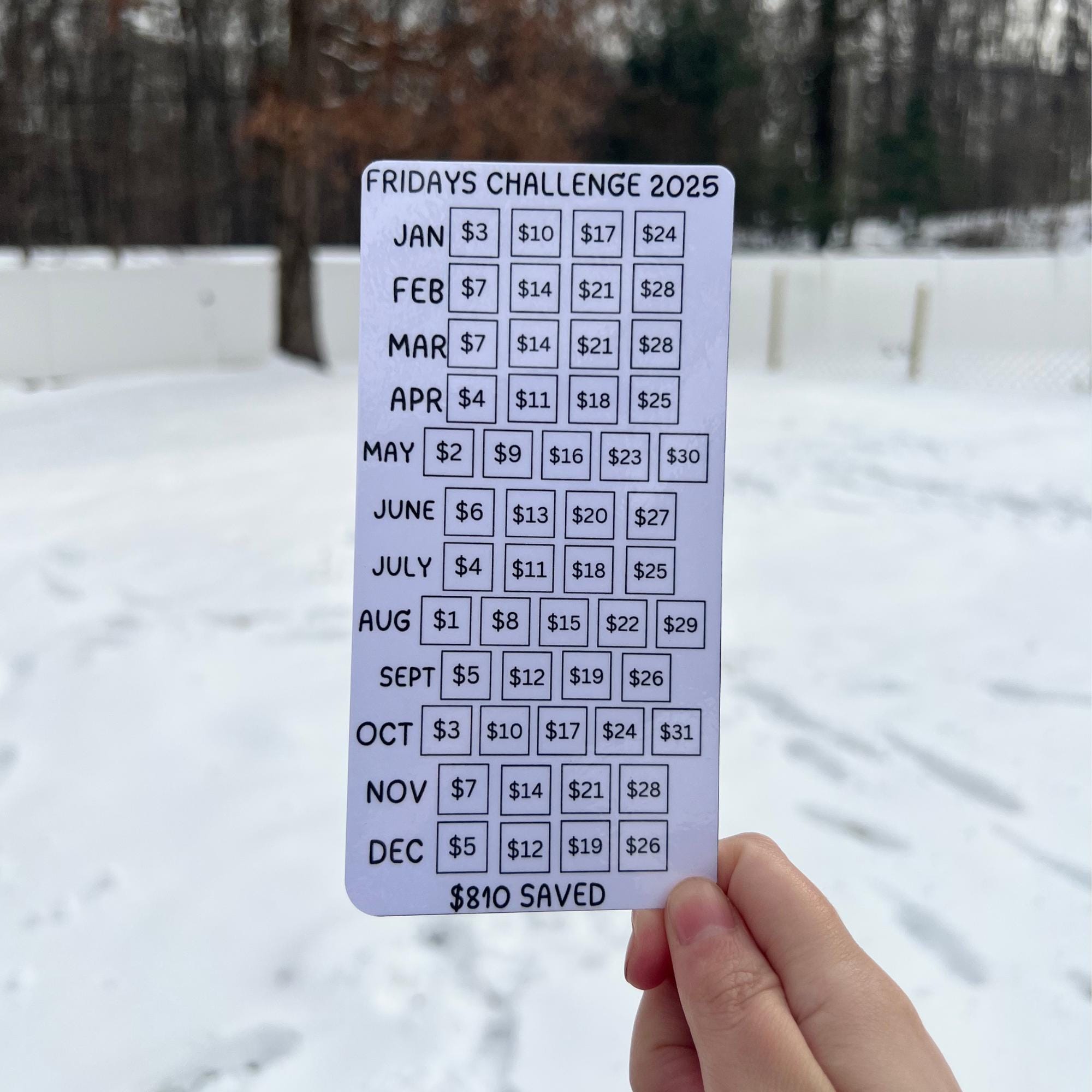 Fridays Challenge 2026 | Comes with or without A6 Envelope for A6 Binder | Laminated or Cardstock