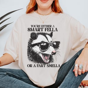 Smart Fella  Shirt, Retro Cartoon T Shirt, Weird T Shirt, Meme T Shirt, Trash Possum T Shirt, Funny Shirt, Comfort Colors Shirt