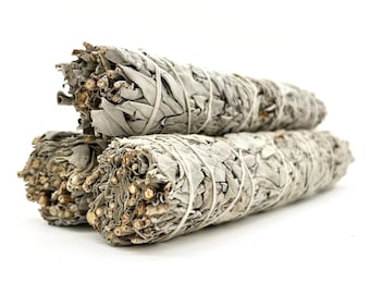 California White Sage Smudge Sticks, Energy Cleansing (8-9")