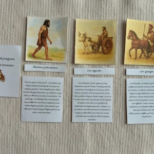 Può includere: Esposizione educativa che mostra l'evoluzione del trasporto terrestre. Include illustrazioni di un uomo preistorico, un carro egizio trainato da un bue e un carro greco trainato da un cavallo. Testo in spagnolo accompagna ogni immagine.