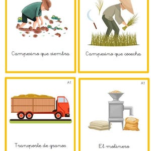 Montessori Nomenclatures Interdependencies