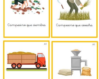 Montessori Nomenclatures Interdependencies