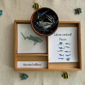 Puede incluir: Bandeja de madera con un cuenco de peces de juguete y dos hojas impresas. Una hoja muestra una ilustración de tiburón ballena, la otra muestra varios peces. El texto "Libro control Peces" y "tiburón ballena" son visibles.