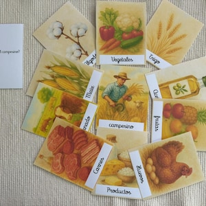 Puede incluir: Un conjunto de tarjetas ilustradas que representan productos agrícolas y escenas de granja. Las tarjetas muestran verduras, trigo, maíz, carne, huevos y un granjero. El texto "¿Qué produce el campesino?" es visible.
