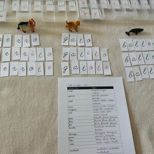 May include: Educational toys for language learning. The image shows toy figurines of a dog, cat, and whale, along with word cards and a chart. The word cards spell out words like "dog", "cat", and "whale" in cursive. The chart lists words and their suffixes.