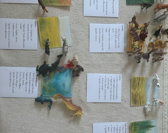 Montessori World Biomes Nomenclature in Spanish