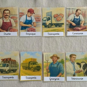 Puede incluir: Un conjunto de tarjetas ilustradas que representan el proceso de producción de carne. Las tarjetas muestran varias etapas, incluyendo un carnicero, un granjero y camiones de transporte. El texto en las tarjetas está en español.