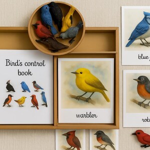 Puede incluir: Exhibición de madera con temática de aves. Incluye un libro encuadernado en espiral titulado "Bird's control book", figuritas de pájaros y tarjetas ilustradas con las etiquetas "blue jay", "warbler" y "robin". Los pájaros son de varios colores.