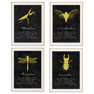 May include: Four black and white printable art prints with gold insect silhouettes. The prints feature a praying mantis, cicada, dragonfly, and stag beetle. Each print includes the insect's scientific name and classification.
