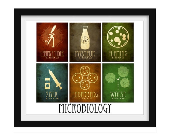 Microbiology Art Print - Famous Microbiologist Gift - Science Lab Decor - STEM Poster