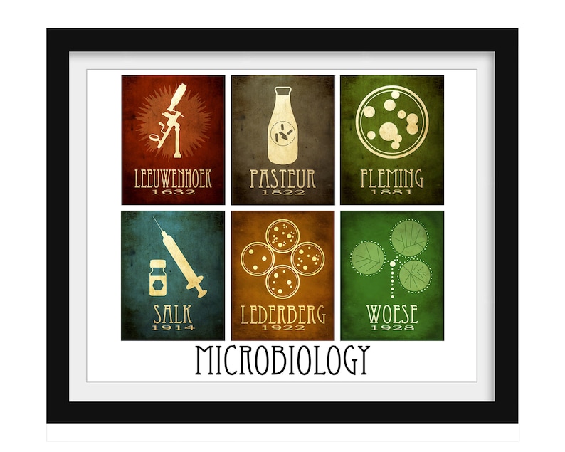 May include: A framed print with a white background and black frame. The print features six colorful squares with illustrations and text. Each square represents a different microbiologist and their year of discovery. The text at the bottom of the print reads "MICROBIOLOGY".