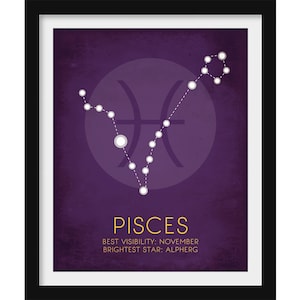 Constellation Quote Leo Constellation T Shirt Science Gifts Constellation Quote Leo Constellation T Shirt Science Gifts