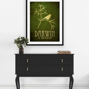 Darwin Evolution Art Print Tree Of Life Science Illustration And
