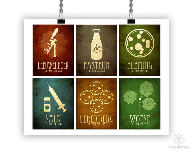 May include: A vintage-style poster featuring six scientists who made significant contributions to microbiology. Each scientist is represented by a symbol and their name and year of discovery. The poster has a distressed, textured background.