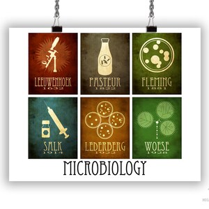 May include: A vintage-style poster with a white background and six colorful squares featuring illustrations of scientific discoveries in microbiology. Each square includes the name of the scientist, their discovery, and the year of the discovery. The poster title is "MICROBIOLOGY".