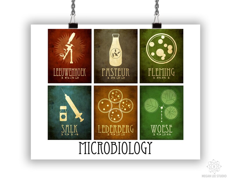 May include: A vintage-style poster with a white background and six colorful squares featuring illustrations of scientific discoveries in microbiology. Each square includes the name of the scientist, their discovery, and the year of the discovery. The poster title is "MICROBIOLOGY".