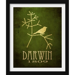 Darwin Evolution Art Print - Tree of Life Science Illustration and Biology Gift