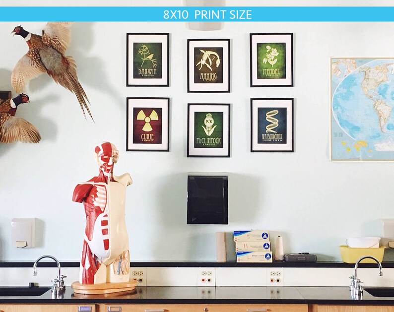 Op de afbeelding: Zes ingelijste prints van 20,3 x 25,4 cm van wetenschappers met hun ontdekkingen. De prints hangen aan een lichtblauwe muur in een klaslokaal. Op de voorgrond staat een model van de menselijke anatomie.