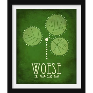 Carl Woese Microbiology Art Print, Microbioloog Gift, Educatieve Wetenschap Decor, Taxonomie Illustratie