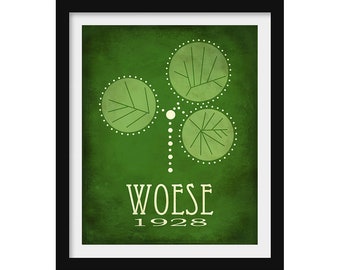 Lámina de microbiología de Carl Woese, regalo de microbiólogo, decoración científica educativa, ilustración de taxonomía