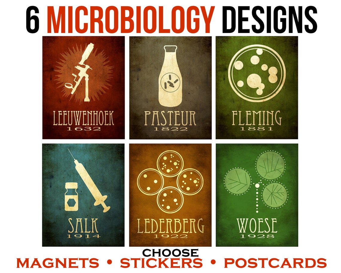 6 Microbiology Postcards or or Stickers. Etsy