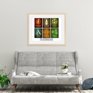 May include: A framed print with a vintage style design featuring six colorful squares with icons and text related to microbiology. The text at the bottom of the print reads "MICROBIOLOGY".
