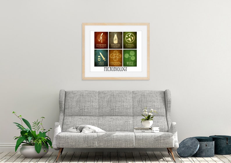 May include: A framed print with a vintage style design featuring six colorful squares with icons and text related to microbiology. The text at the bottom of the print reads "MICROBIOLOGY".