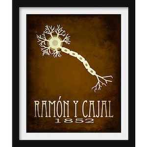 Ramon y Cajal Neuroscience Art Print, Brain Neuron illustration, Medical Decor