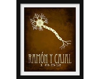 Ramon y Cajal Neuroscience Art Print, Brain Neuron illustration, Medical Decor
