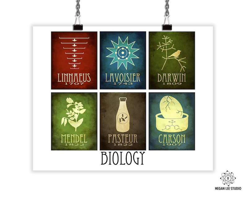 Biology Art Mosaic Biology Gift Science Art Biology Poster Etsy