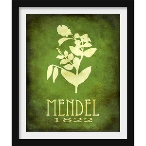 Gregor Mendel Botany Art Print, Genetics Study of Pea Plants, Science Classroom Decor