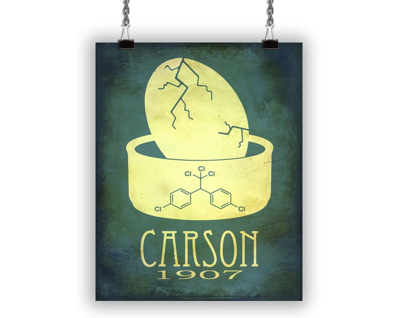 Rachel Carson Biology Art Print, Marine Biologist or Environmentalist Gift, Science Classroom Decor image 2