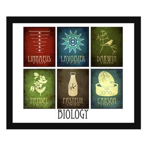 Impresión artística de biología, mosaico de seis científicos famosos para decoración de aulas de ciencias o regalo para biólogos.