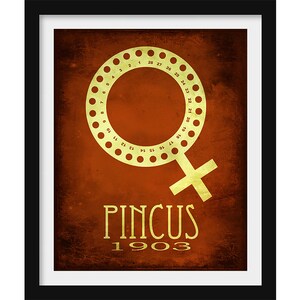 Pincus Birth Control Biology Art Print, Feminist Science Poster, STEM School Decor