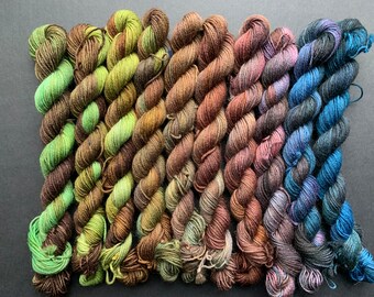Waterways - Juego de micro madejas de 200 g de hilo para calcetines teñido a mano con degradado, 4 capas, 75/25, superlavado, lana BFL, nailon, azul, verde y marrón