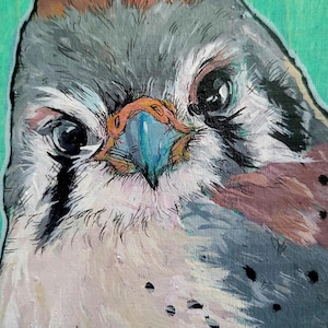 Close Up Kestrel limited matted print wall art home decor