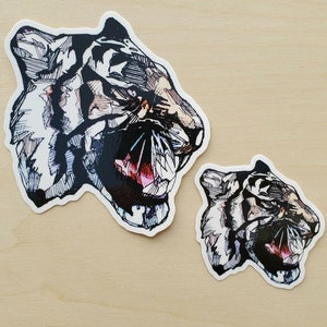 Graphic Growling Tiger Vinyl Sticker - Glossy Finish -  Two Sizes