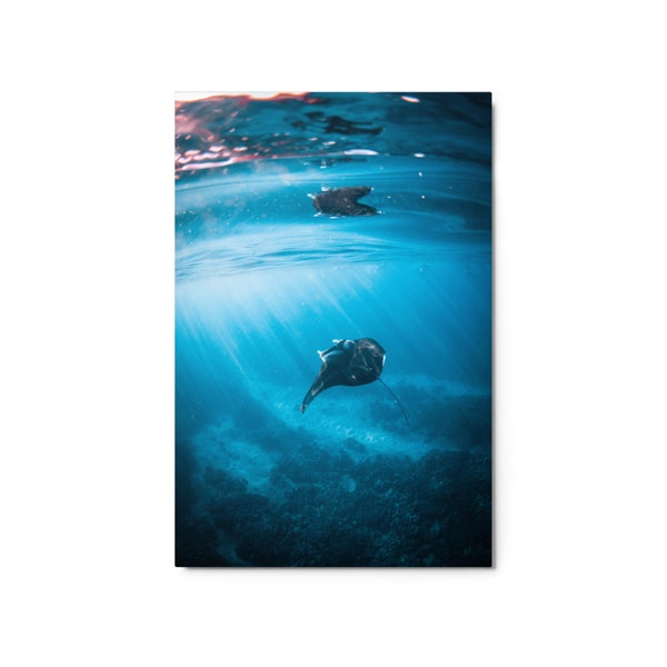 Fine Art ocean print - Manta Ray Reflection in South Maui Hawaii