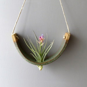 May include: A green ceramic planter with a natural rope hanger, designed to hold an air plant. The planter is shaped like a half-circle and has a light brown rim. A pink and purple air plant is growing inside the planter.