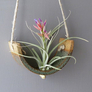 Stunning Small Gunmetal Green Ceramic Tillandsia Hanging Plant Holder Interior Home Decoration Wall Planter Vase