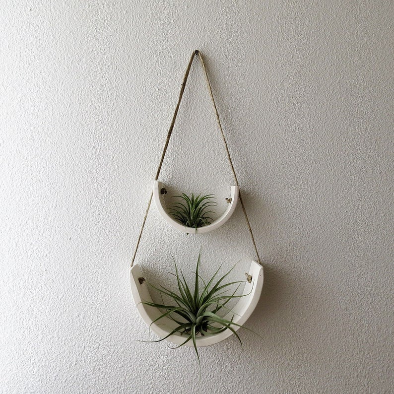 May include: Two white ceramic hanging planters with air plants. The planters are shaped like half circles and are suspended from the ceiling with twine.