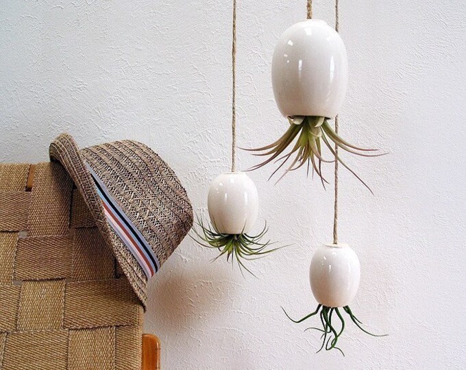 LARGE Hanging Air Plant Pod tm Glossy White Etsy