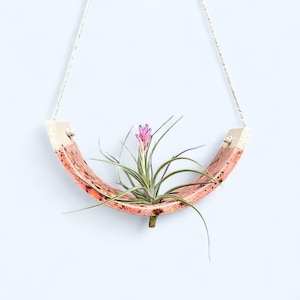 May include: A hanging planter with a curved, speckled, coral-colored base and a small air plant with a pink flower. The planter is suspended by a natural rope, with light-colored wooden blocks at each end.