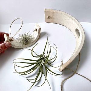 Tiered Speckled Buff Stoneware Hanging Tillandsia Air Plant Holder Interior Home Decoration Planter image 4