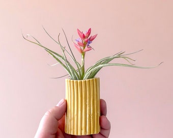 Small yellow celadon ceramic flower bud vase