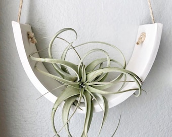 Large White Earthenware Hanging Tillandsia Air Plant Holder Interior Home Decoration Planter